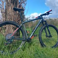 SPECIALIZED EPIC  HT CARBON EXPERT Taglia L