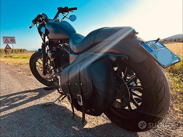 Harley Davidson 883
