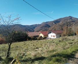Terreno agricolo