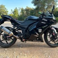 Kawasaki Ninja 250R