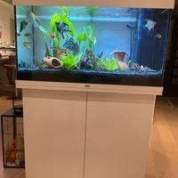 Acquario Juwel Rio 125