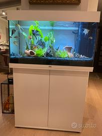 Acquario Juwel Rio 125