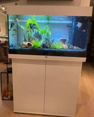 Acquario Juwel Rio 125