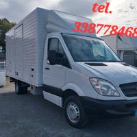 Mercedes Sprinter Cassonato