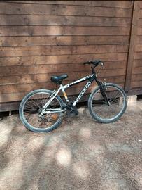 Chiorda Kwad MTB - Sellino di ultima Generazione