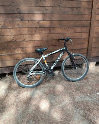 Chiorda Kwad MTB - Sellino di ultima Generazione
