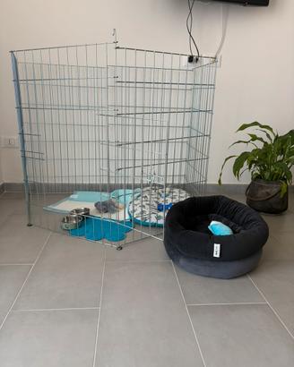 Gabbia/cuccia per cani
