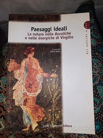 paesaggi ideali