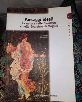 paesaggi ideali