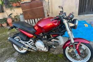 Monster 600 guidabile A2