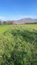 Terreno agricolo 1600 metri quadri