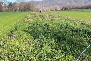 Terreno agricolo 1600 metri quadri