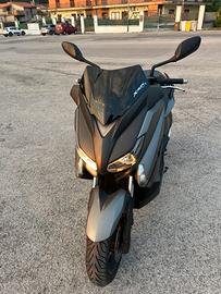Xmax 250