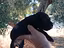 Immagine 5