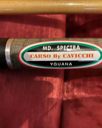 Stecca da biliardo