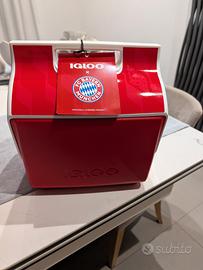 borsa frigo Igloo