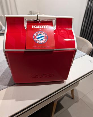borsa frigo Igloo