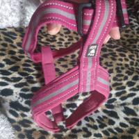 Pettorina cane taglia grande