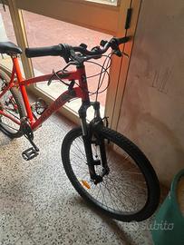 Coppia di mountain bike