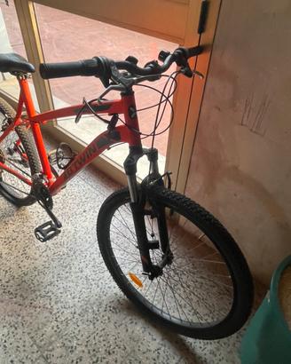 Coppia di mountain bike