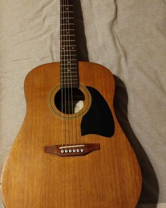 Chitarra acustica Lyon Washbur