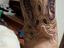 Immagine 5