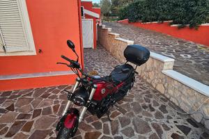 Benelli Leoncino 500