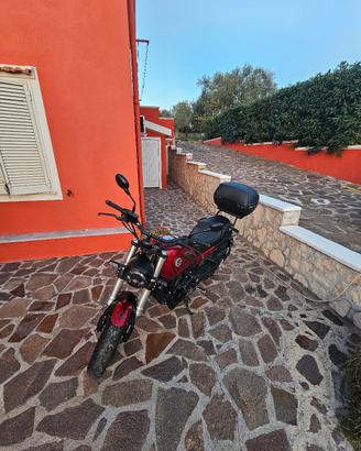 Benelli Leoncino 500