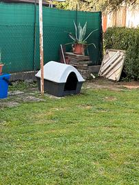 Cuccia per cane taglia media
