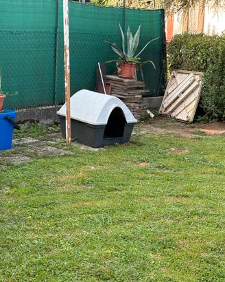 Cuccia per cane taglia media