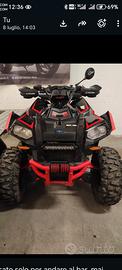 Polaris scambler 1000 