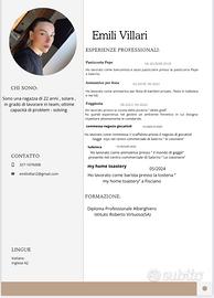 Barista/ baby sitter/ludoteche