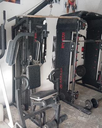 palestra completa