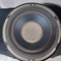 subwoofer da 20 doppia bobina 