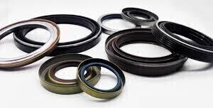 GUARNIZIONE PARAOLIO FORCELLA BMW