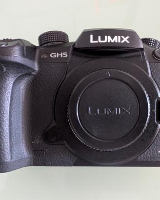 Lumix GH5 tenuta bene - Prova a Torino