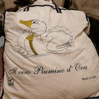 Piumino oca 800gr matrimoniale