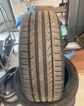Gomme estive