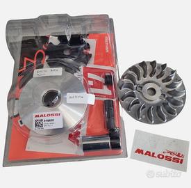 Variatore Malossi Wottan Storm S