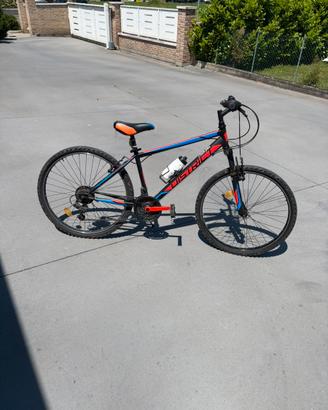 Bike 26
