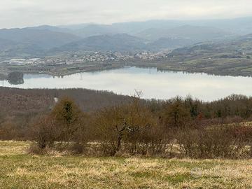 Terreno seminativo Barberino del Mugello
