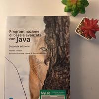 PROGRAMMAZIONE DI BASE E AVANZATA CON JAVA. EDIZ.