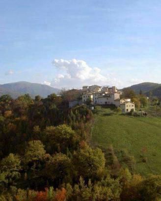B&B La Viocca