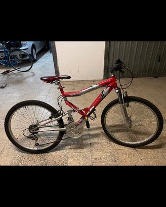 Mountain bike