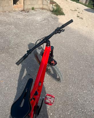 Bici da enduro