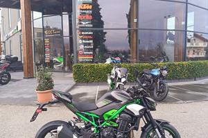 Kawasaki Z 900 Gray / Black / Lime