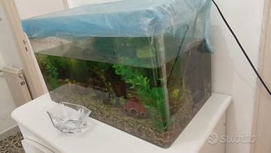 acquario 60litri 