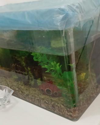 acquario 60litri 