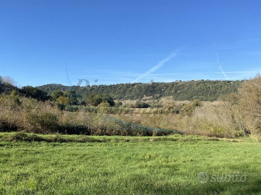 Terreno di 3720 m² a Montescudaio - Vista 5
