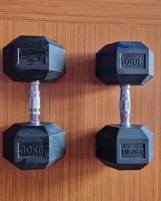 Manubri Dumbbell 30 kg